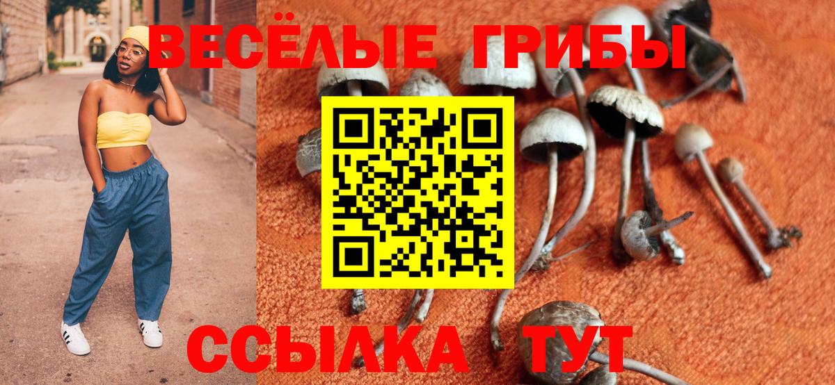 Галлюциногенные грибы прущие грибы Семёнов